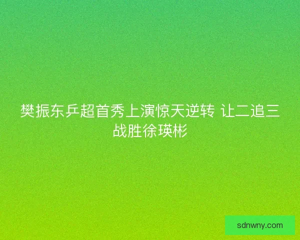 樊振东乒超首秀上演惊天逆转 让二追三战胜徐瑛彬